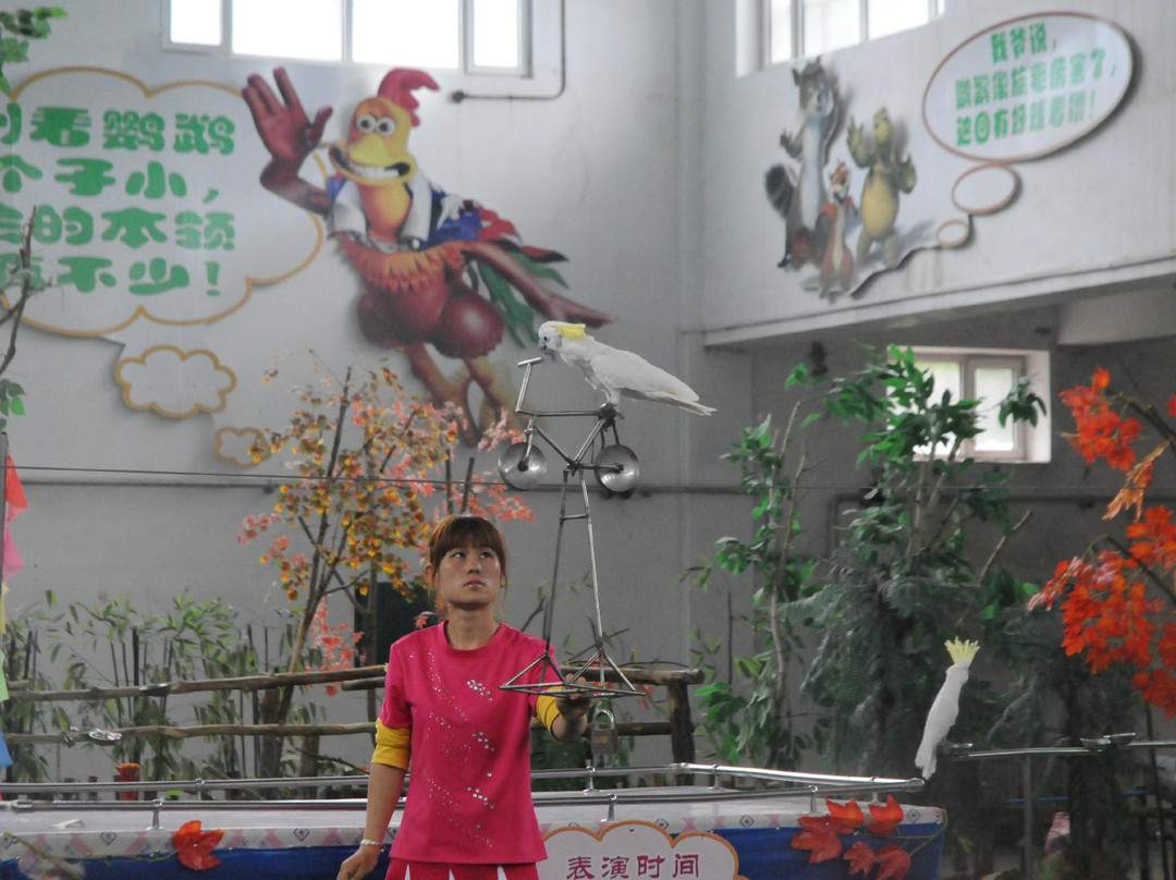 哈尔滨北方森林动物园-哈尔滨市必去景点