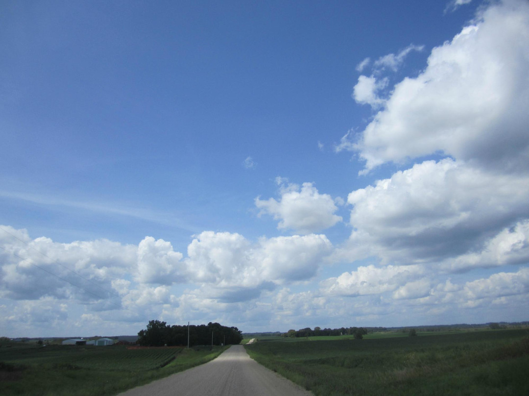 Erickson's Petting Zoo-Osakis必去景点