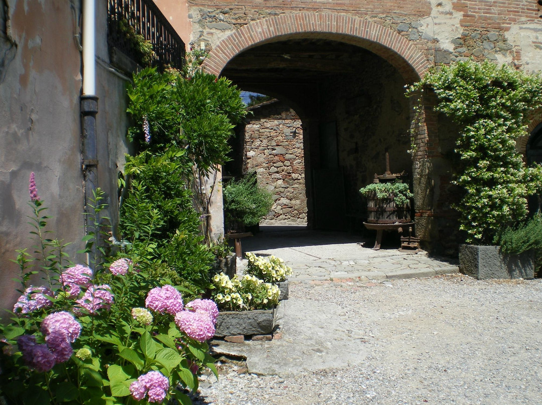 Fattoria Maionchi主图
