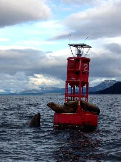 Hoonah Travel Adventures-胡纳必去景点