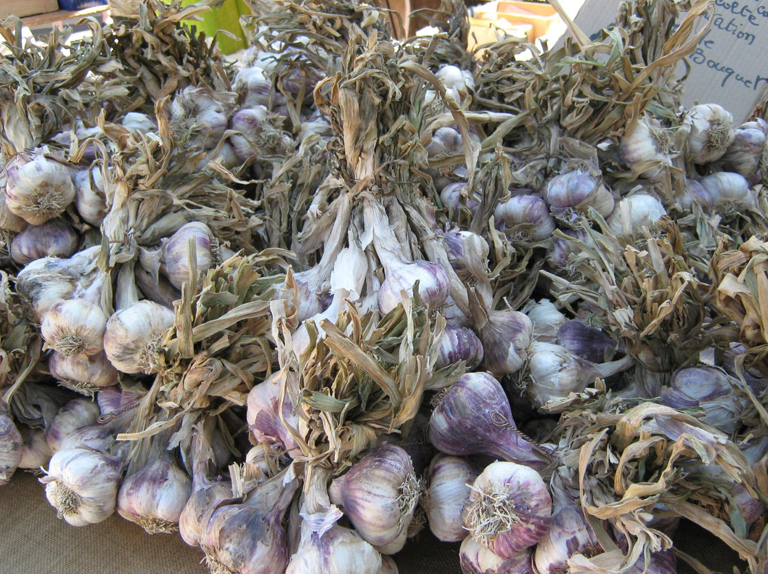 Wednesday morning market-圣雷米必去景点