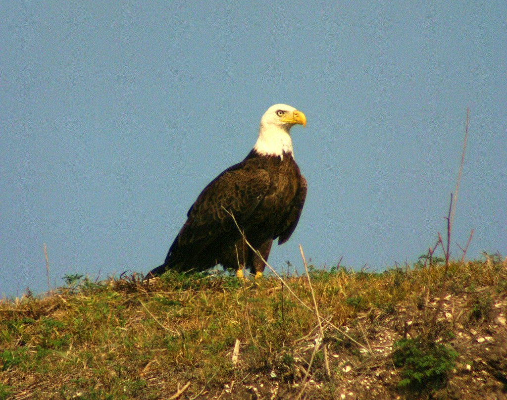 Eco Tours & More-圣奥古斯丁必去景点