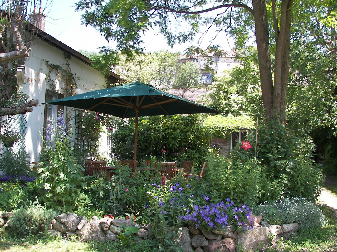 Le Clos Mimaut主图