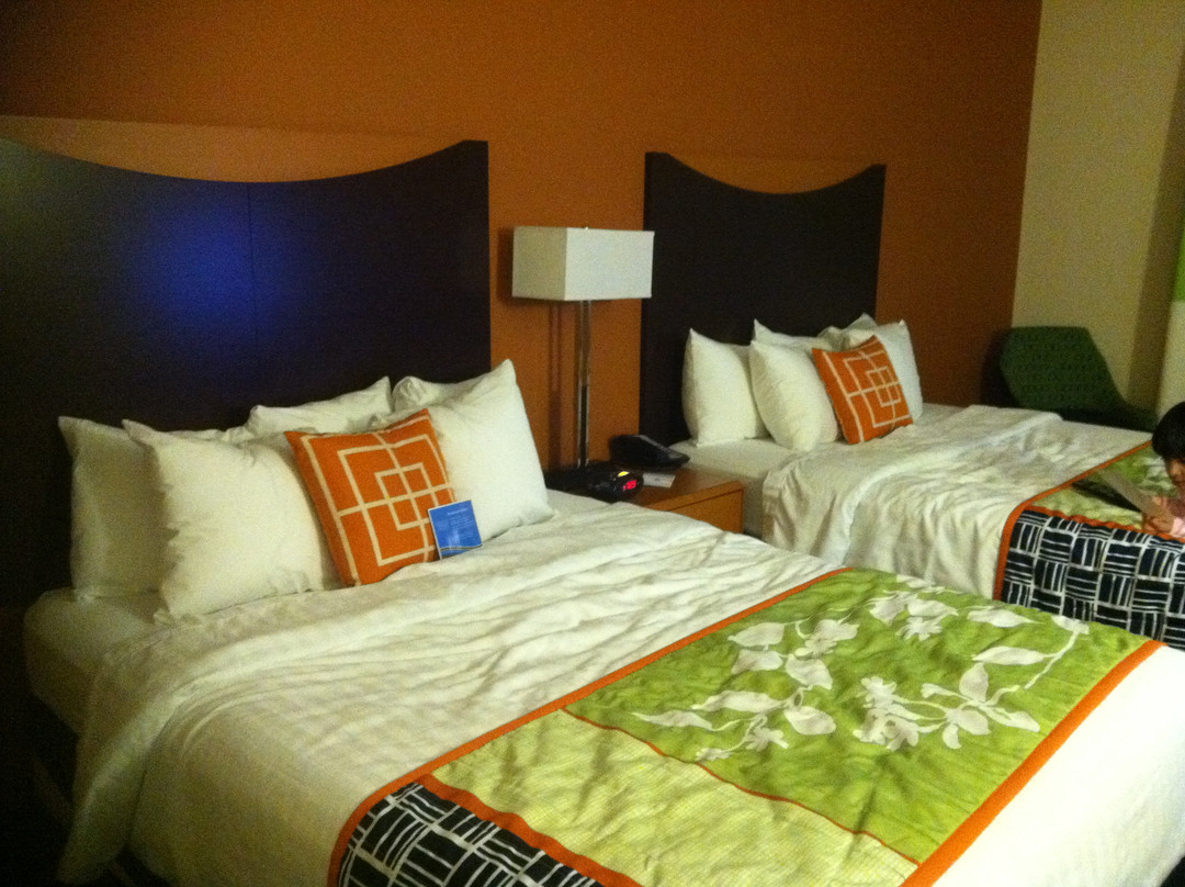 Wardensville酒店住宿-Fairfield by Marriott Inn & Suites Strasburg Shenandoah Valley
