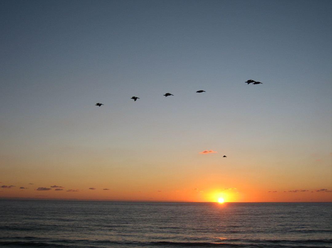 南卡尔斯巴德州立海滩-圣地亚哥必去景点