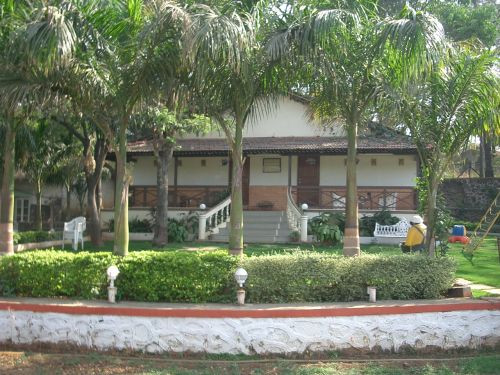 Kohinoor Exotica主图