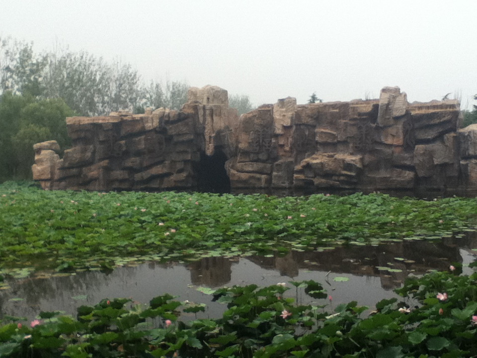 微山湖湿地红荷旅游风景区-滕州市必去景点