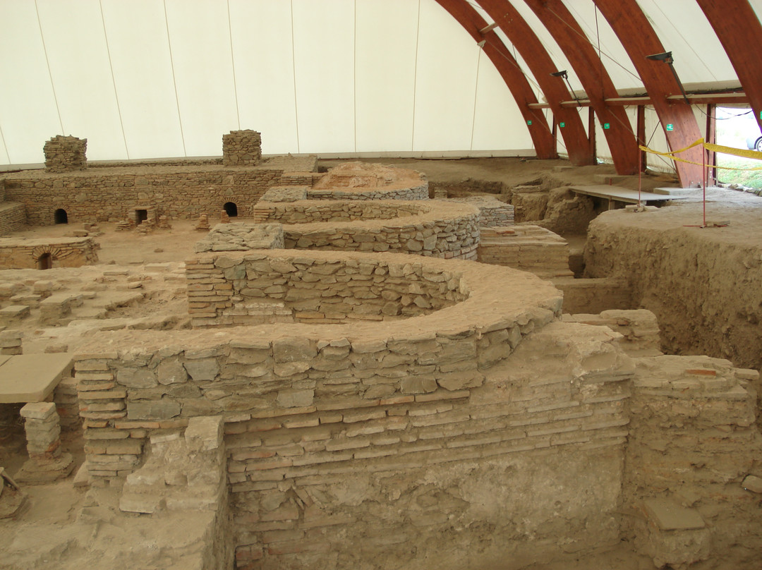 Viminacium Archaeological Park景点图片