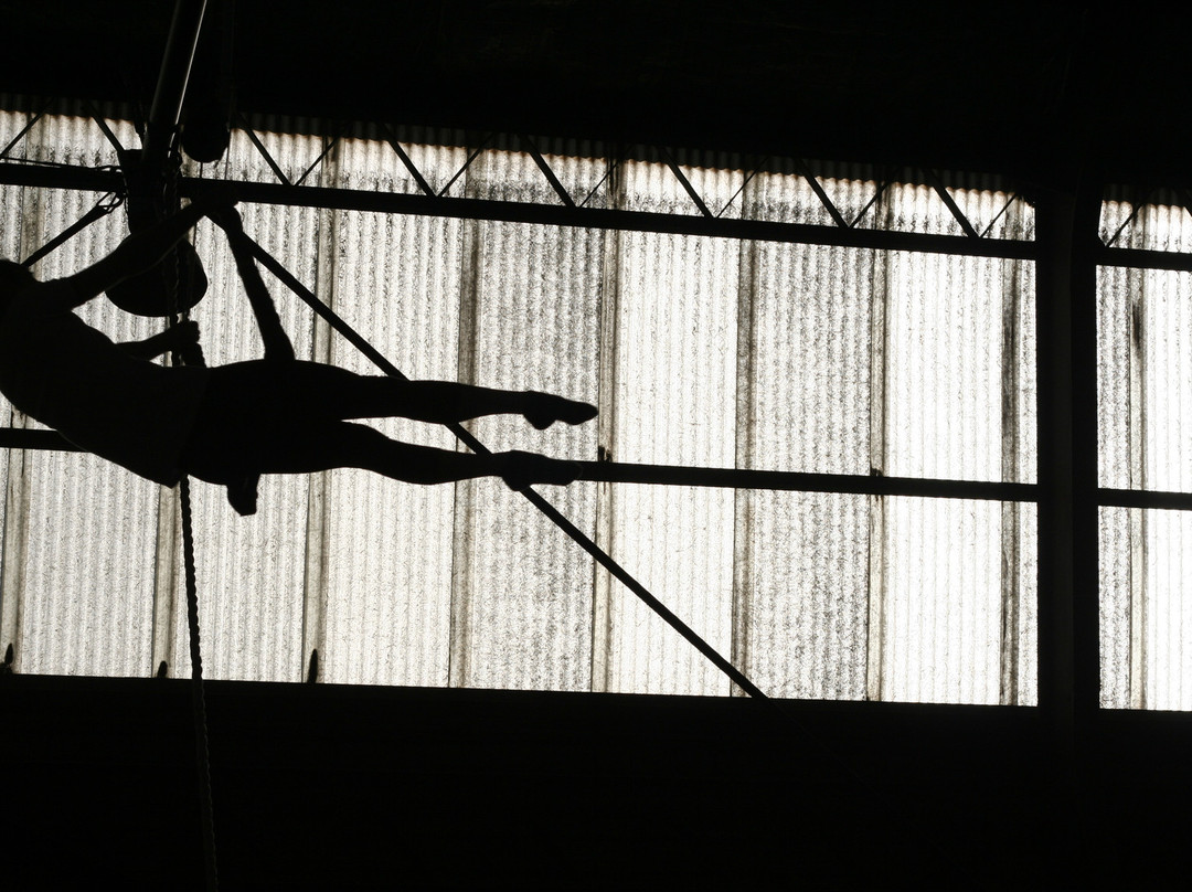 Sydney Trapeze School-St Peters必去景点