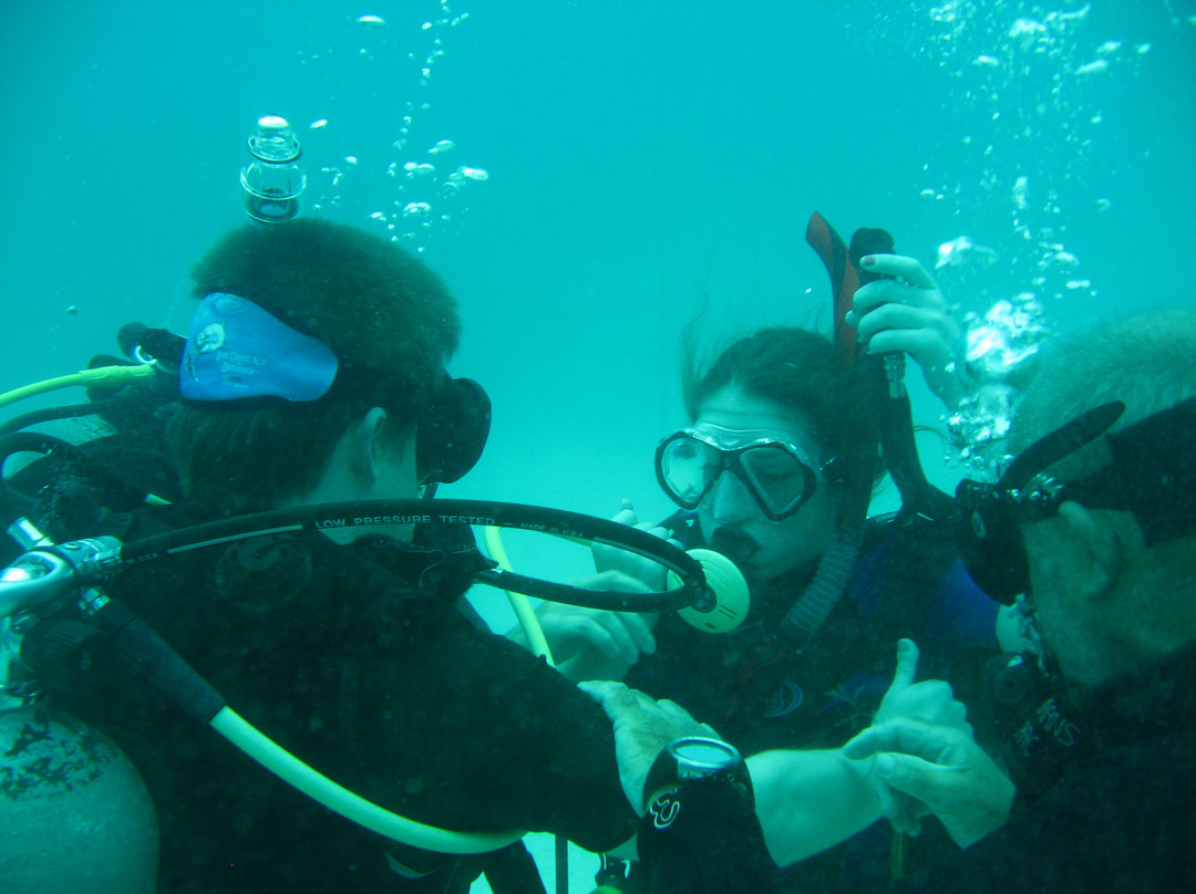 Diving Dominican Republic-Bayahibe必去景点