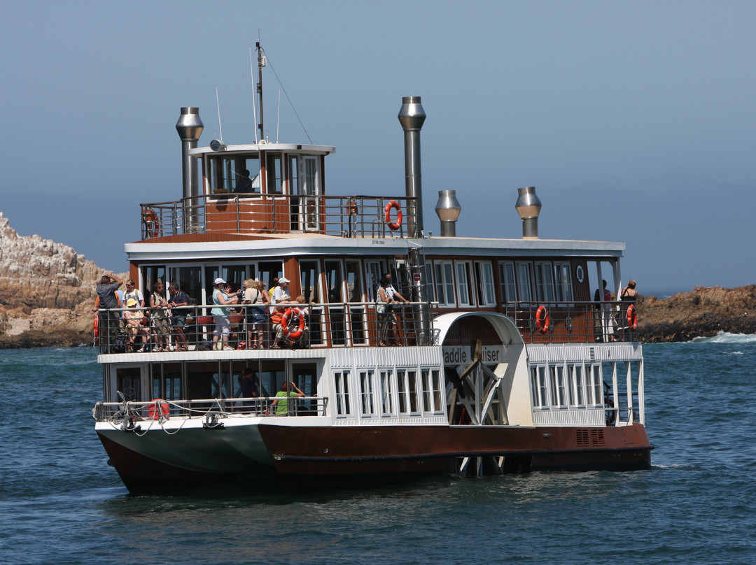 Knysna Paddle Cruiser Day Cruises-克尼斯纳必去景点