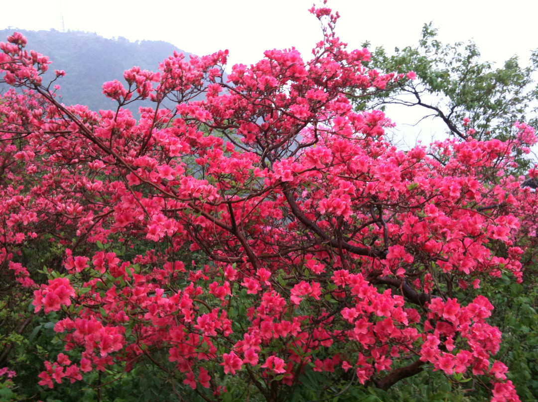 龟峰山-黄冈市必去景点