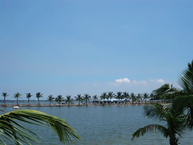 湛江海滨公园景点图片