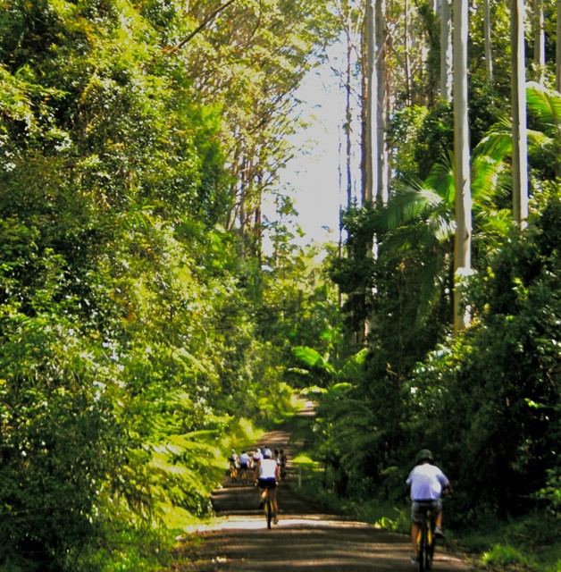 Mountain Bike Day Tours-拜伦湾必去景点