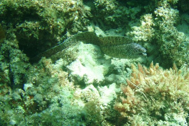Lagoon Beach-豪勋爵群岛必去景点