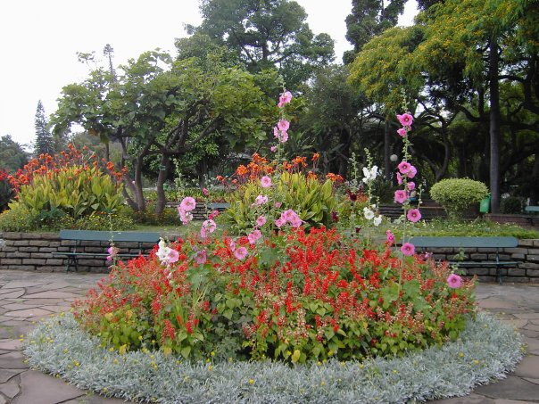 Jardim de Sao Francisco景点图片