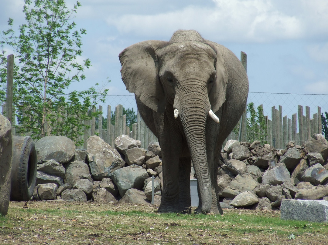 Zoo de Granby-Granby必去景点