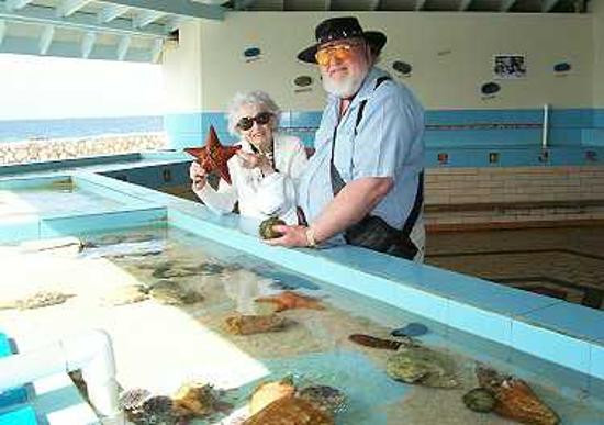 Curaçao Sea Aquarium-威廉斯塔德必去景点