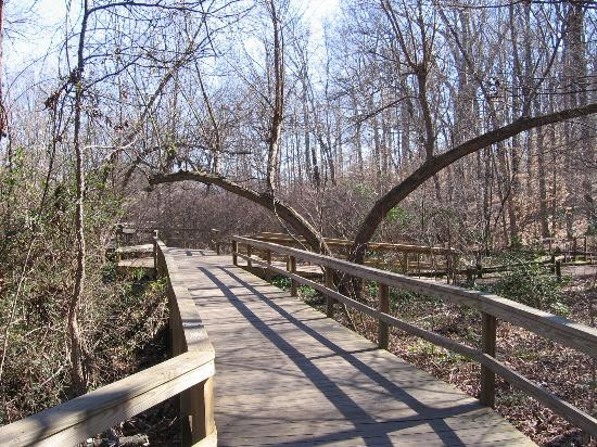 The Bog Garden at Benjamin Park景点图片