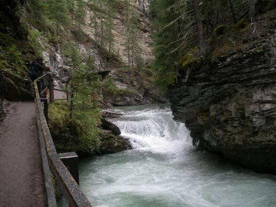 强斯顿峡谷-班夫国家公园必去景点