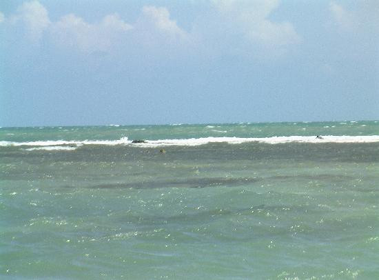 Floyd's Pelican Bar-瑰宝滩必去景点