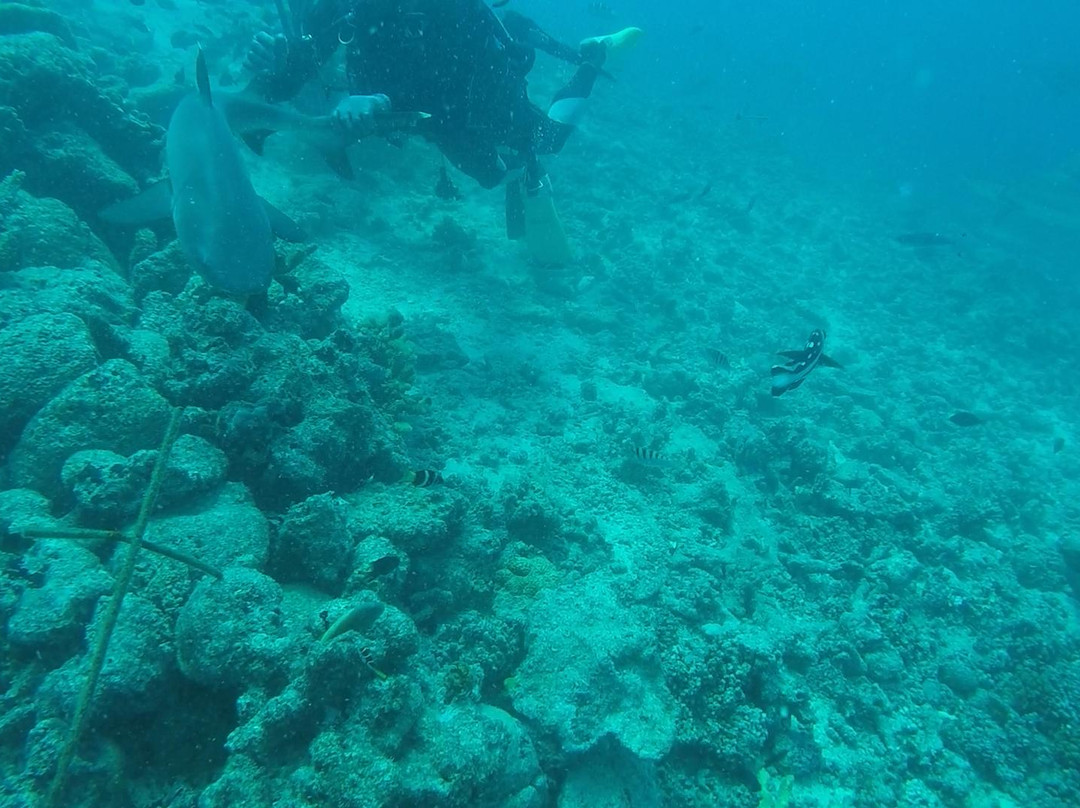 Aqua-Trek Mana-玛娜岛必去景点