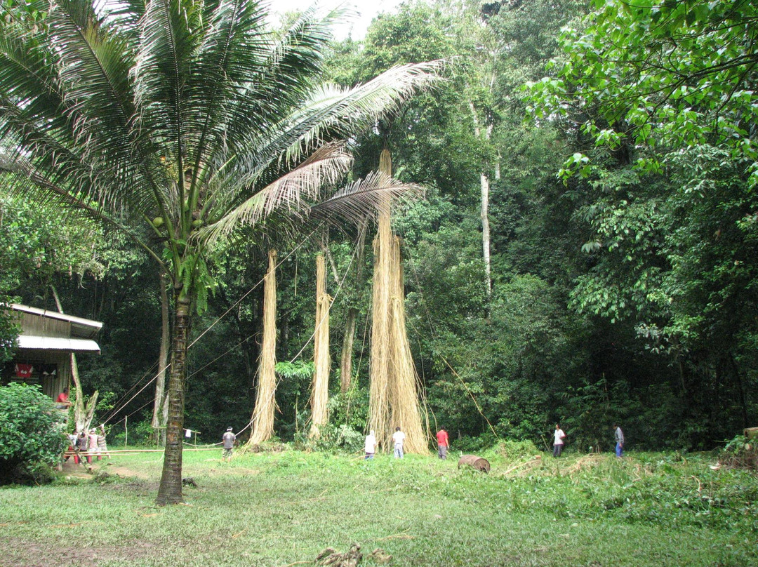 Gomantong Cave Sandakan-山打根必去景点