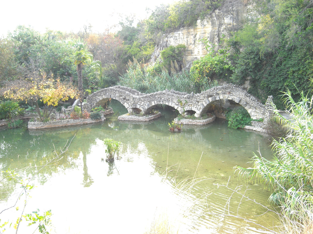 日本茶园-圣安东尼奥市必去景点