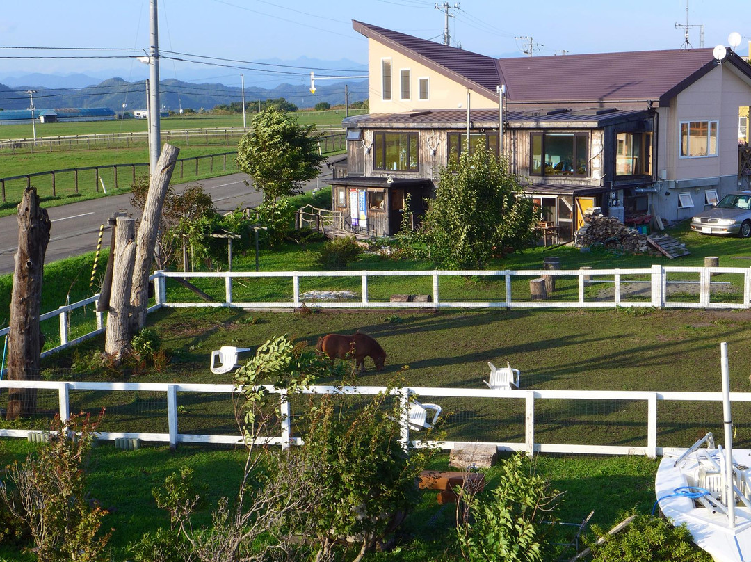 Horse Village马之宿主图