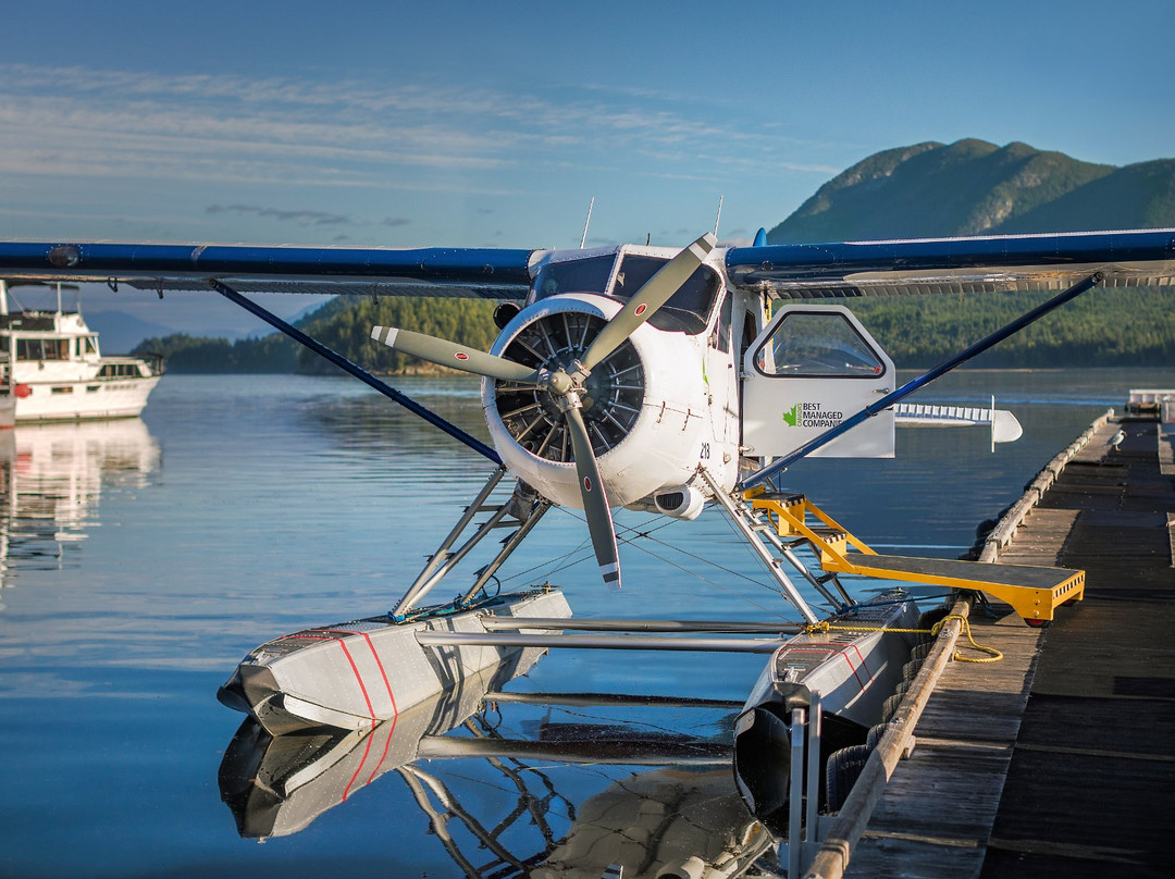 Harbour Air Seaplanes-Sechelt必去景点