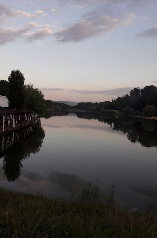 Ungheni餐馆和美食-Golden Stone