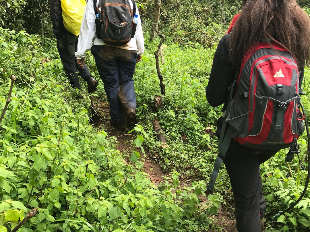 Kereita Cave and Waterfall-阿伯德尔国家公园必去景点