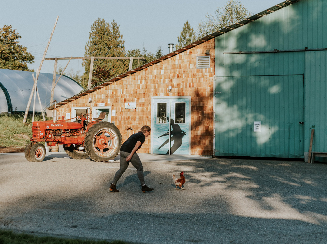 Locality Brewing-Langley Township必去景点