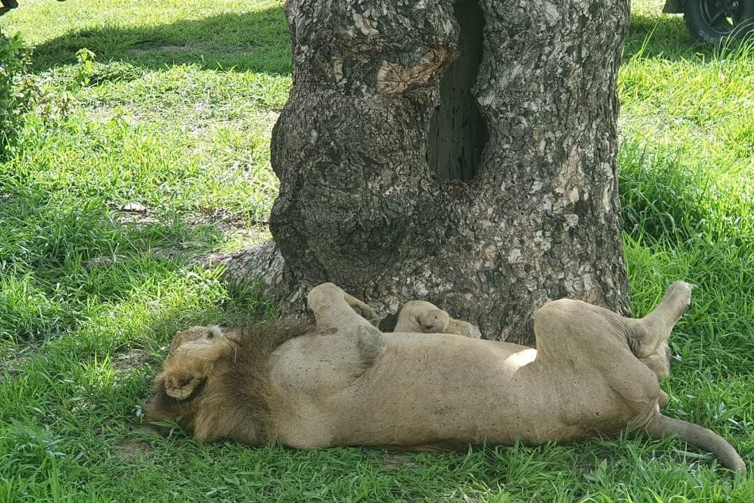 Smile tours & safaris zanzibar-石头城必去景点
