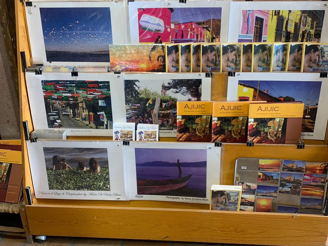 Galeria Di Paola-Ajijic必去景点