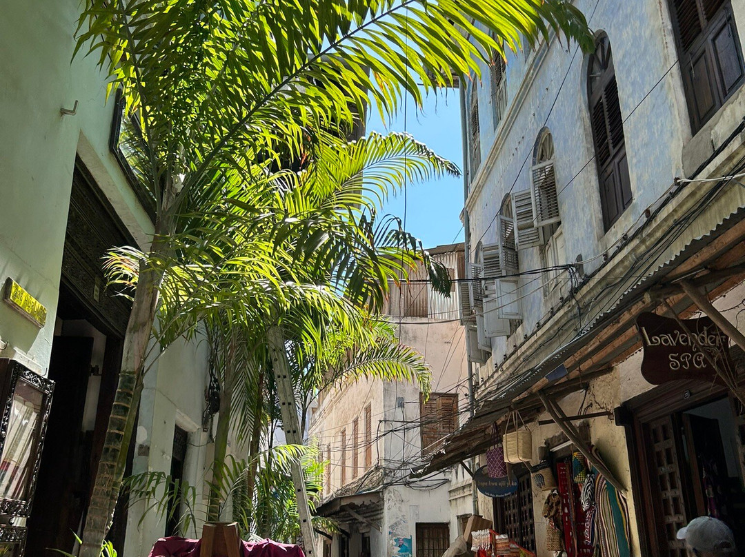 Wise Tour Guide-石头城必去景点