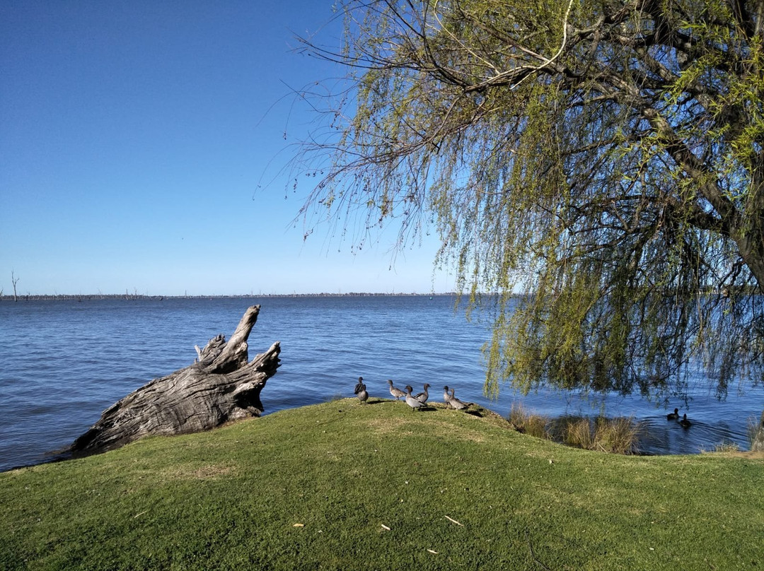 Chinamans Island-Yarrawonga必去景点