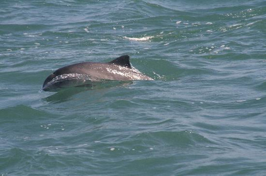 Venture Jet-St. Davids必去景点