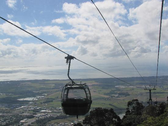 Skyrail Rainforest Cableway-Smithfield必去景点