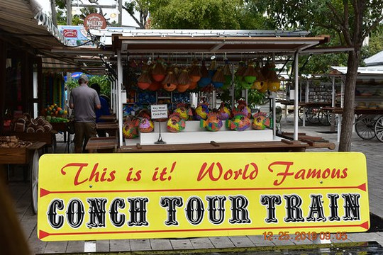 The Conch Tour Train-基韦斯特必去景点