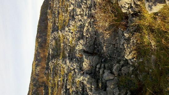 Burren Experience Guided Walks-Corofin必去景点