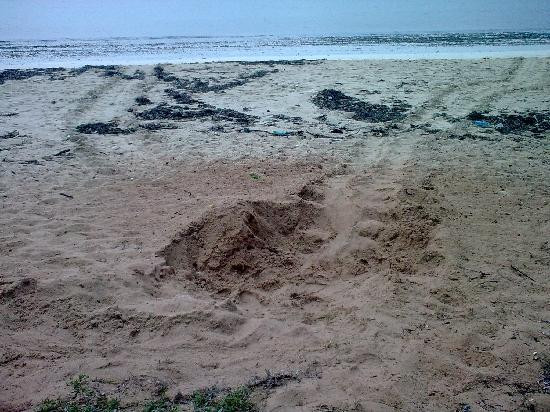 Jumba la Mtwana-蒙巴萨必去景点