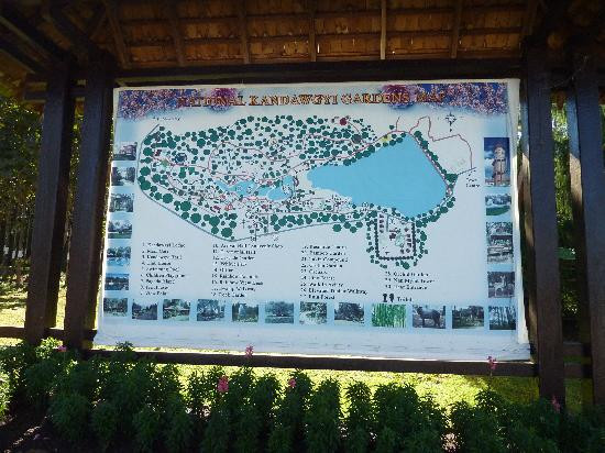 National Kandawgyi Botanical Gardens-彬乌伦必去景点