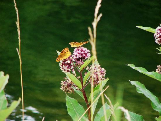Hocking Hills State Park-洛根必去景点