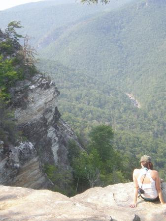 Linville Gorge Wilderness Area景点图片