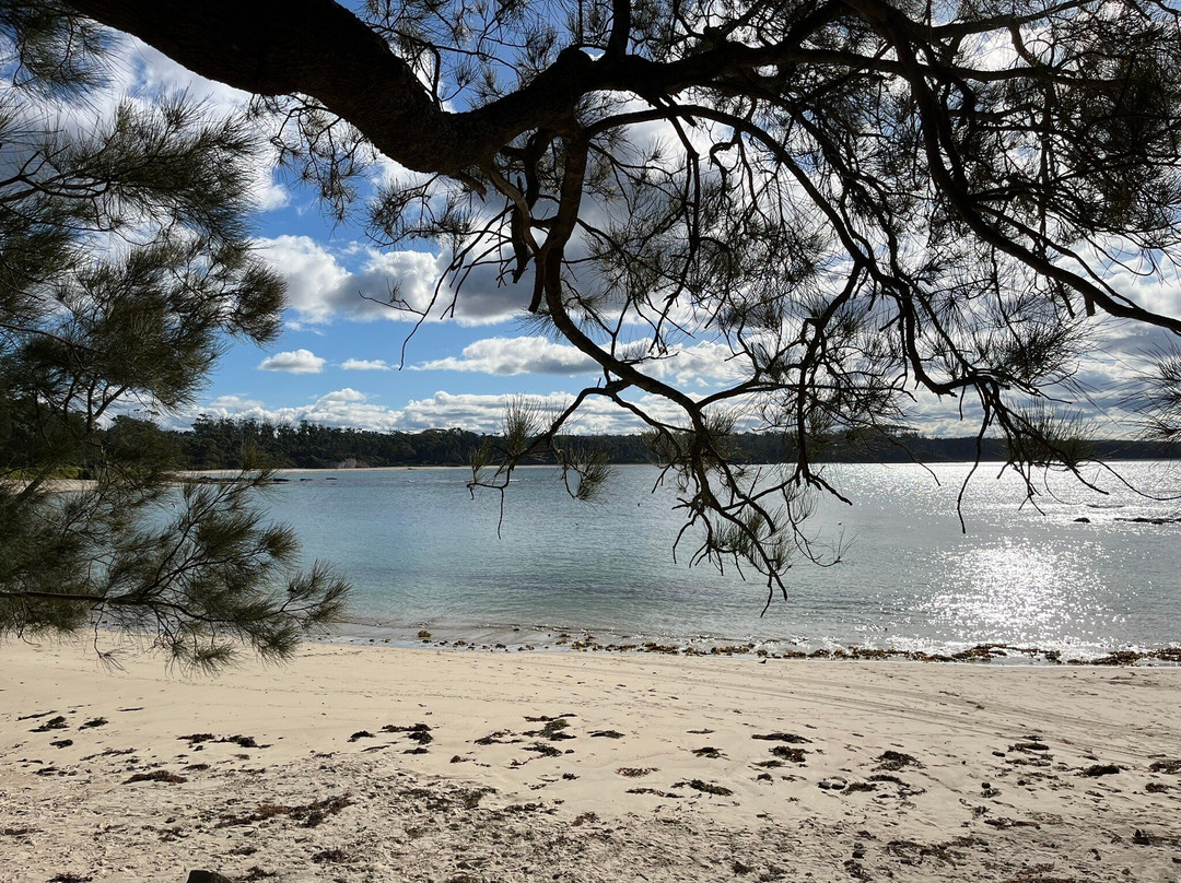 Bendalong Beach景点图片