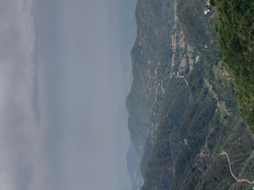 Birds View Kasauli主图