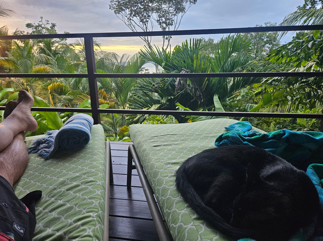 The Tranquilo Lodge主图