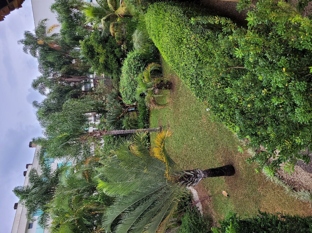 Pousada Vila Tamarindo Eco Lodge主图