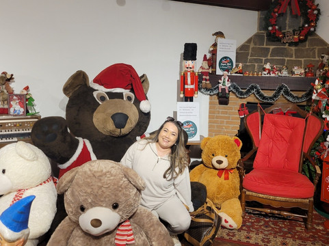 Casa Do Papai Noel Na Montanha-坎普斯－杜若尔当必去景点